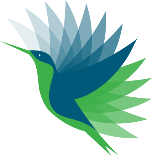 野火live直播电视版本