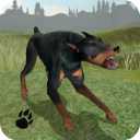 DogSurvivalSimulator