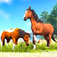养马模拟器
