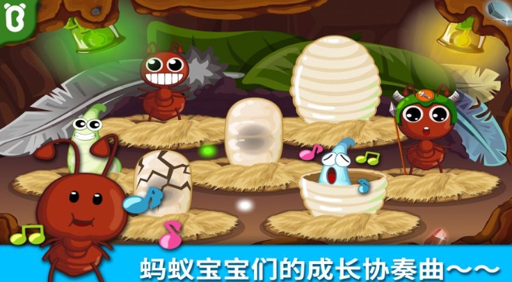 宝宝认蚂蚁