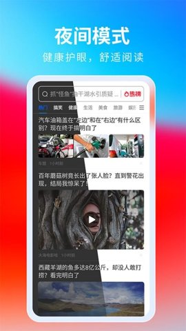 飞觅浏览器app极速版