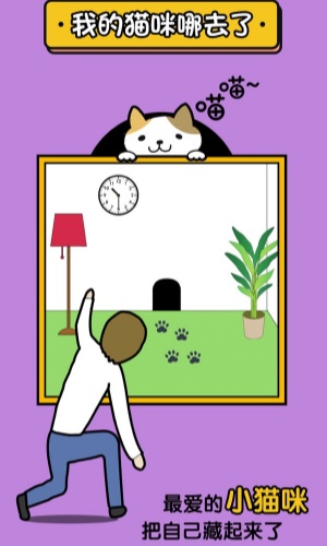 我的猫咪在哪儿