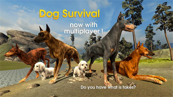 DogSurvivalSimulator