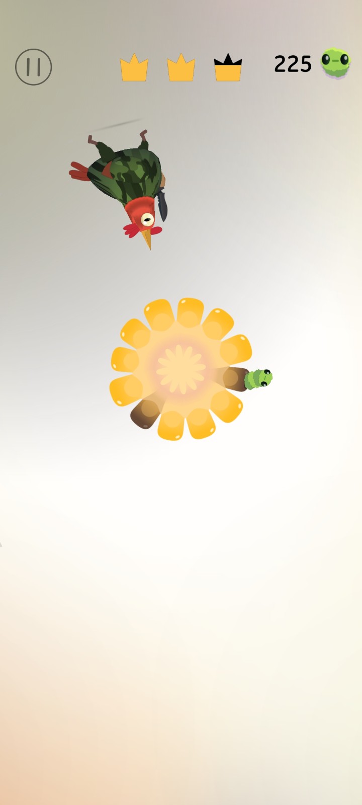 pigeon疯狂的鸽子