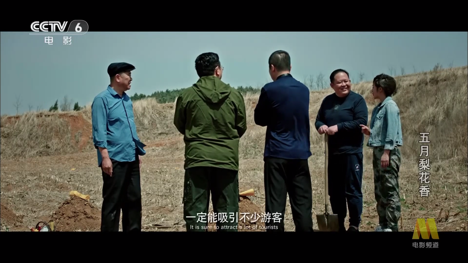 网络电视最新版